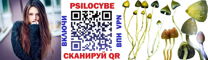 МЕГА как зайти  Александровск-Сахалинский  Псилоцибиновые грибы Psilocybine cubensis 