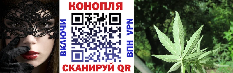 магазин продажи наркотиков  Александровск-Сахалинский  Бошки марихуана план 